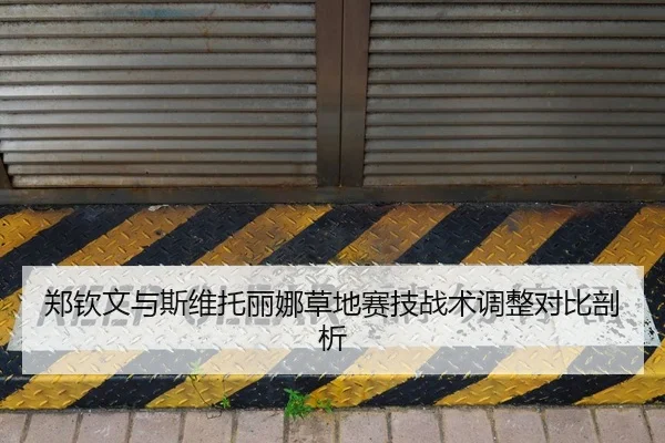 郑钦文与斯维托丽娜草地赛技战术调整对比剖析